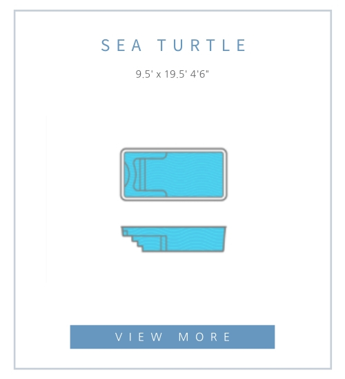 Click here to explore Sea Turtle pools